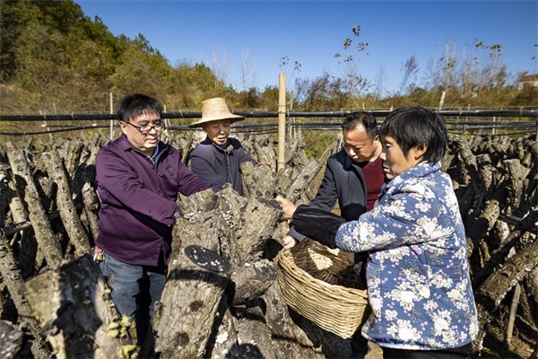 20220130上报（5条）配图10  压缩.jpg