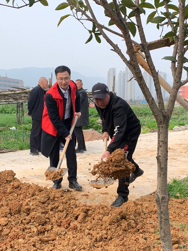 我为乡村添新绿.jpg