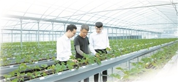 20230410上报（5条）配图01  压缩.jpg