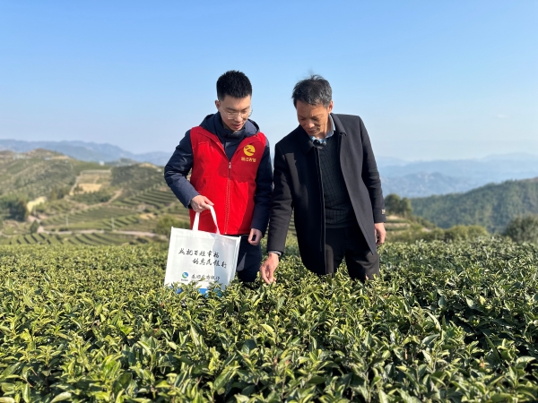 泰顺农商.jpg