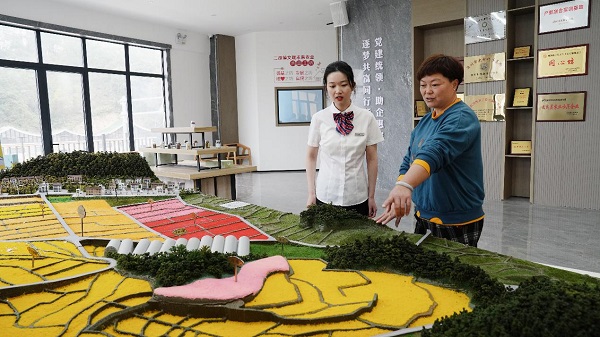 20250422上报（2条）配图10 压缩.jpg