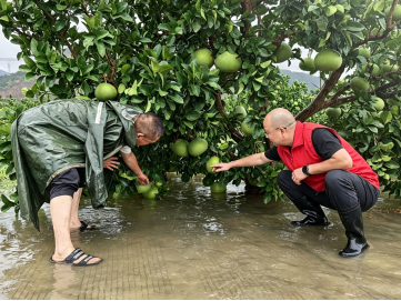 1786440229233566.png 精准驰援,台州银行业全力助推复工复产(改)2757.png